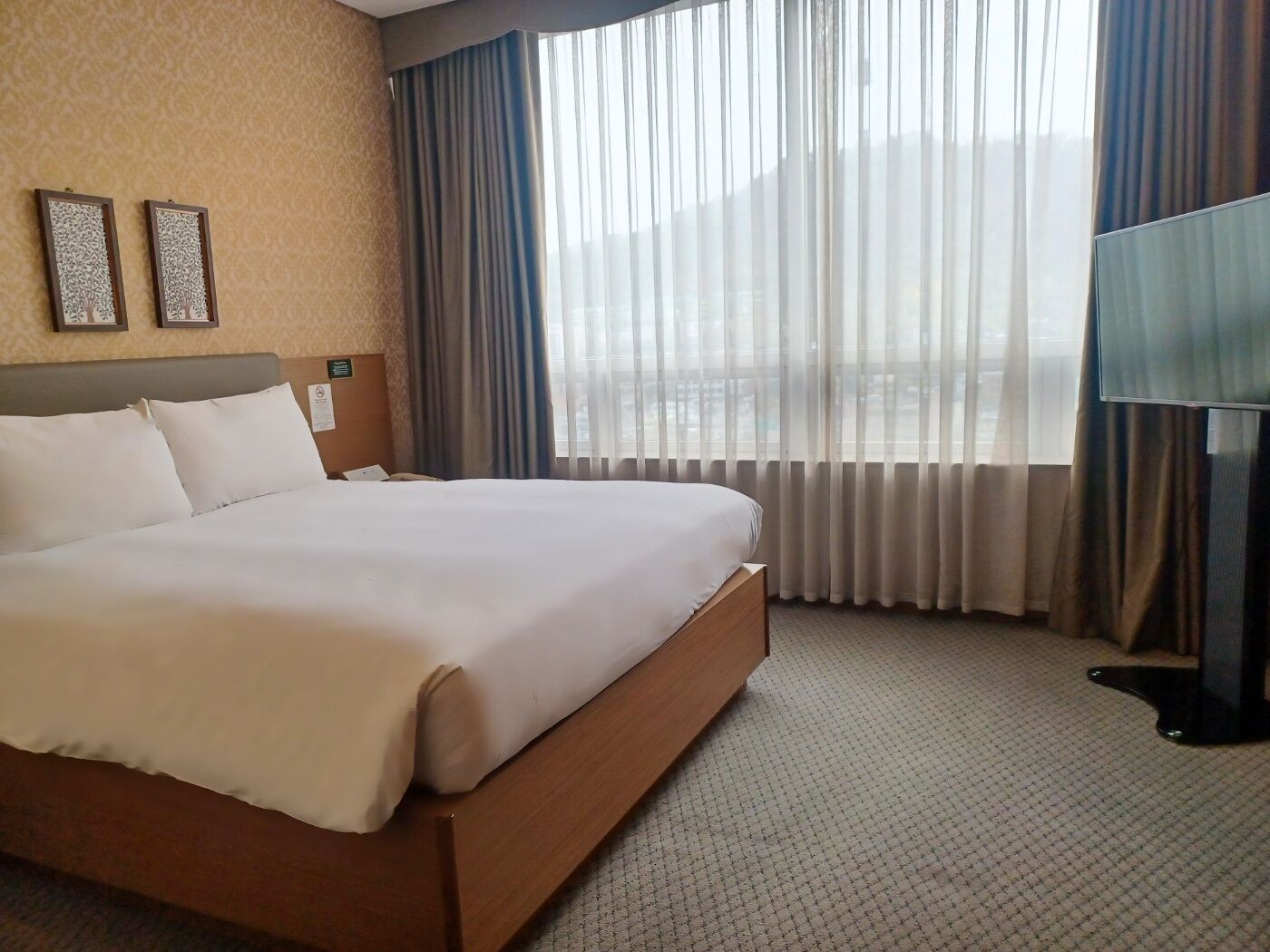 A hotel room with a large bed, a flat-screen TV, a nightstand, and a view of the city through sheer curtains.