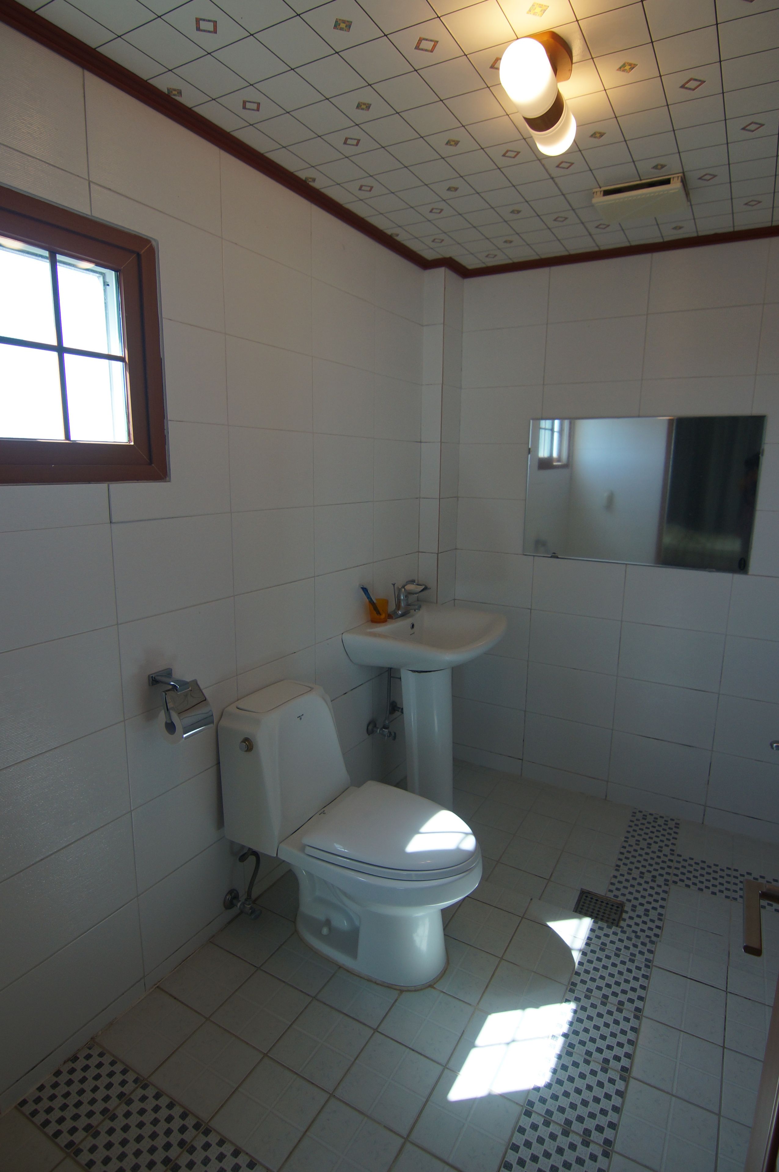 Een badkamer met toilet, wastafel en spiegel.