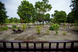 A sandy outdoor area with trees and a few wooden benches.