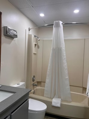 Ensemble douche/baignoire, sèche-cheveux, serviettes fournies