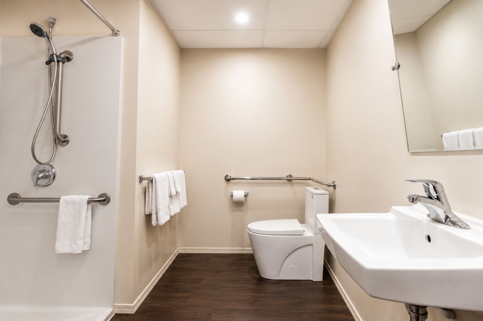 Een badkamer met douche, toilet en wastafel, uitgerust met handgrepen en een handdoekhouder.