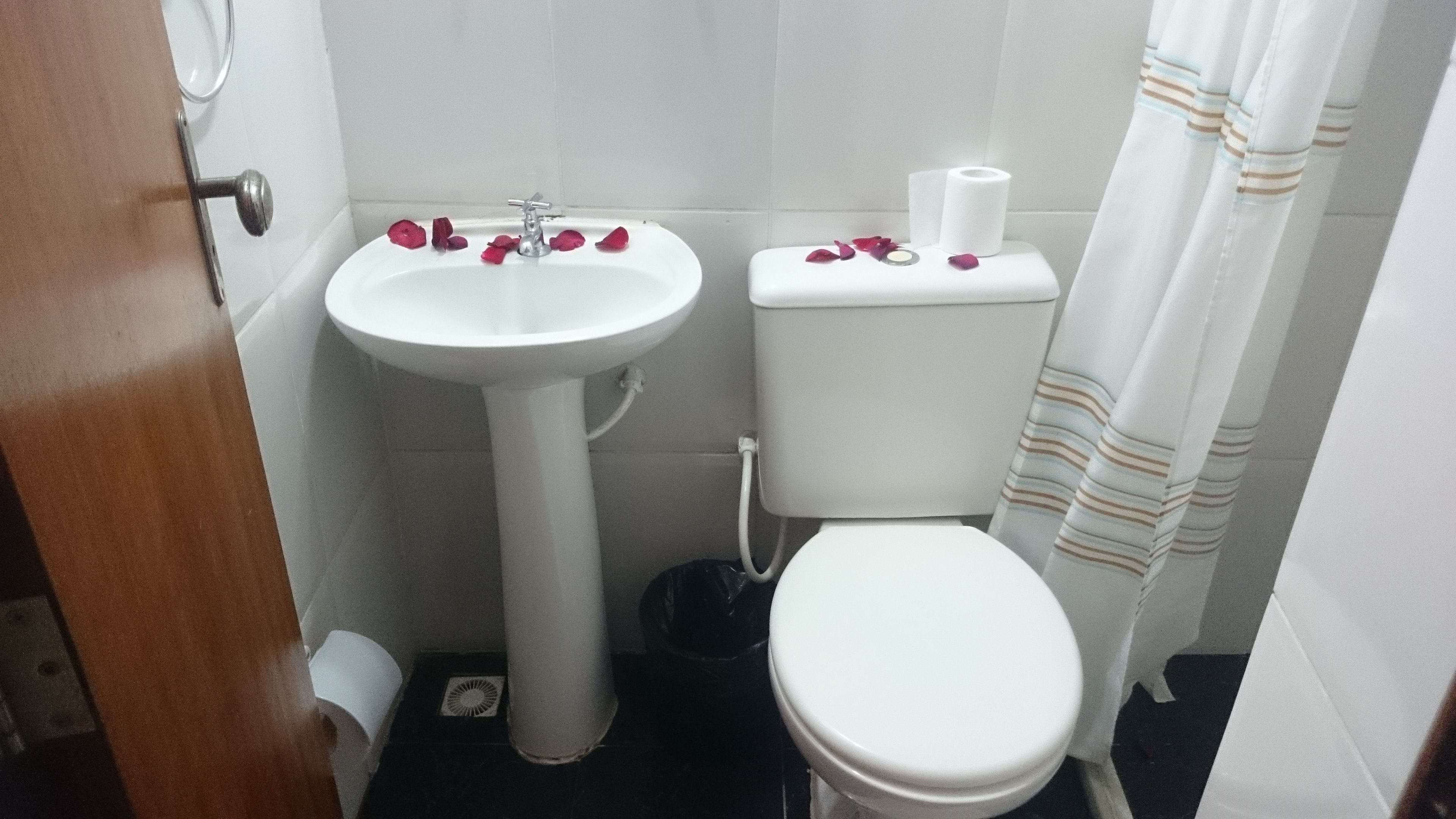 Ein Badezimmer mit weißem Waschbecken, WC und Duschvorhang.
