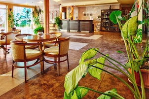 Bar en el lobby