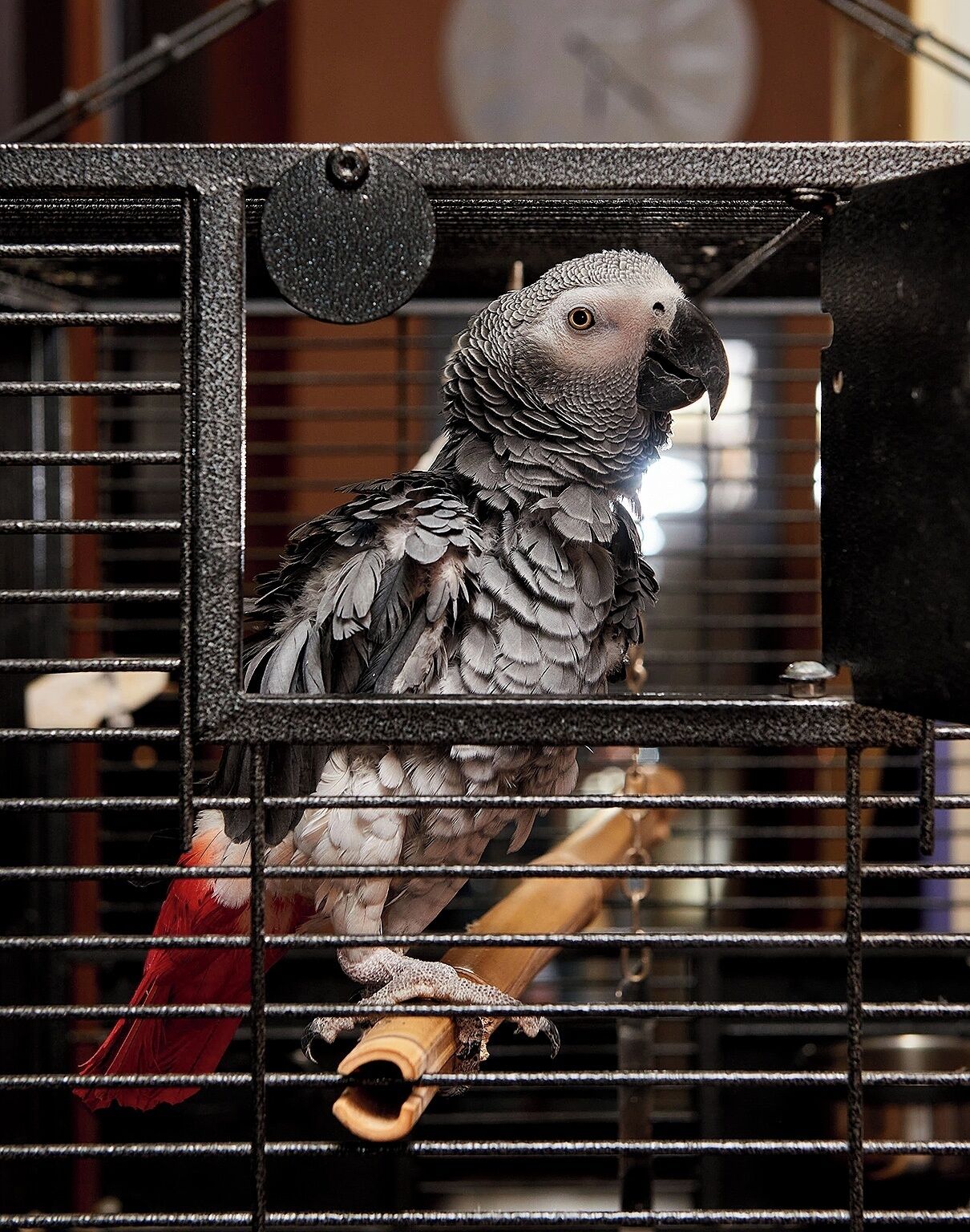 Foto - Sunny Beach Hotel Forum - All Inclusive