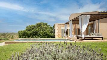 Minibar, in-room safe, individually decorated, desk