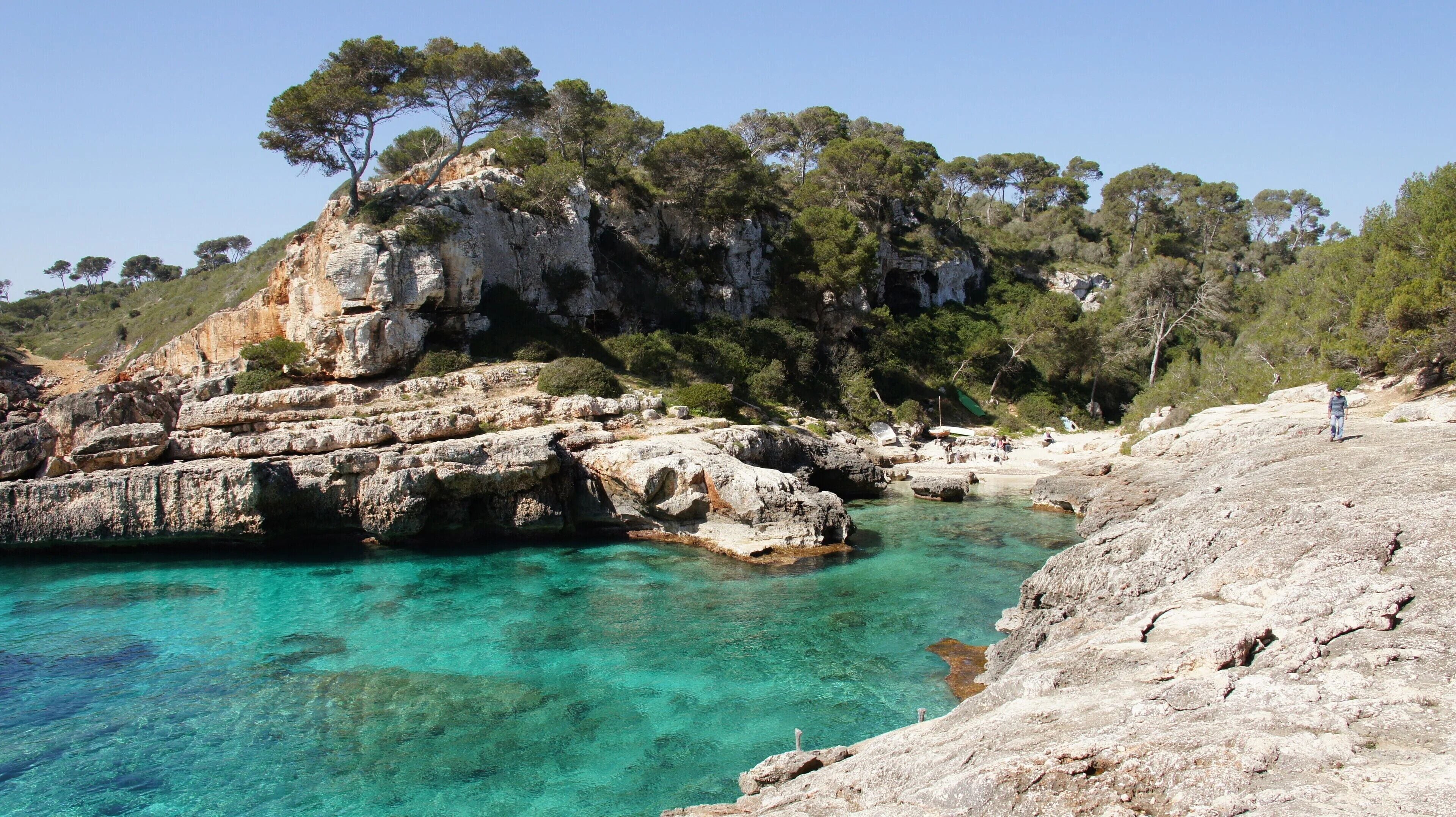 A rocky coastline with clear turquoise water, trees, and a person standing on the right.