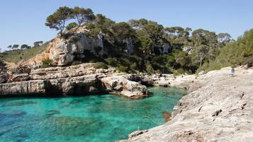 A rocky coastline with clear turquoise water, trees, and a person standing on the right.