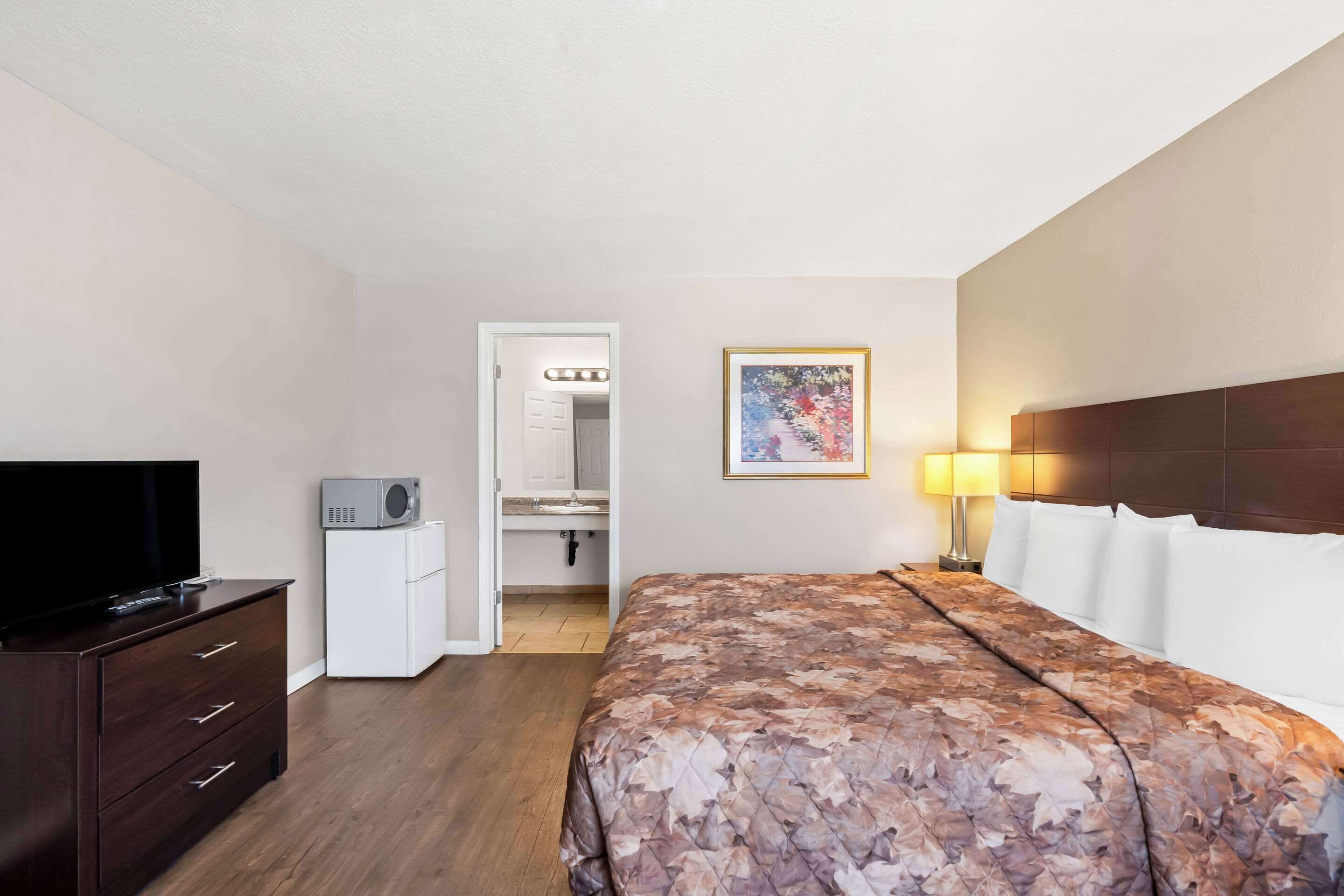 Una camera d'albergo con un letto, una TV, una cassettiera, un forno a microonde e un bagno visibile attraverso una porta aperta.