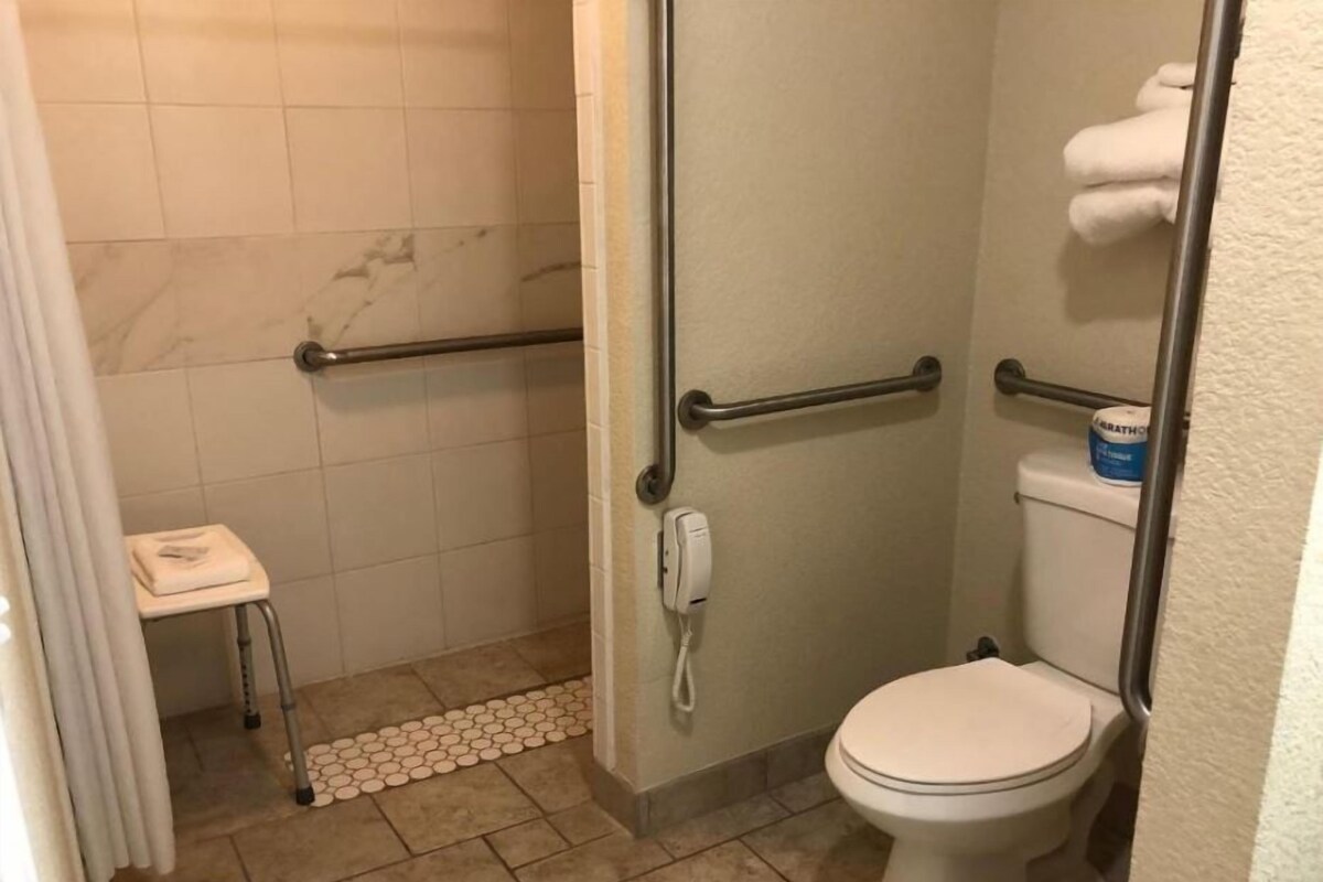 A bathroom with a shower, toilet, and handrails.