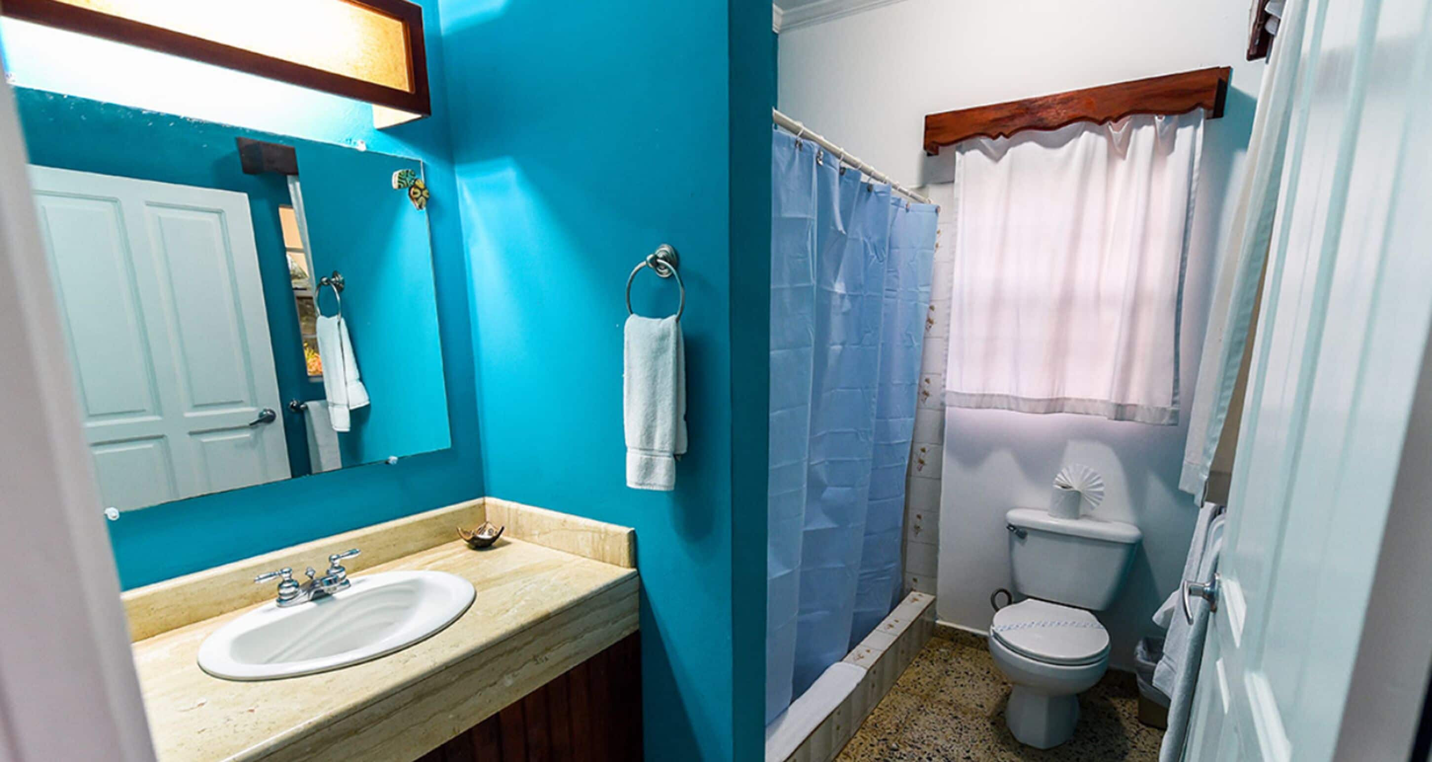 A bathroom with a sink, mirror, toilet, and shower curtain.
