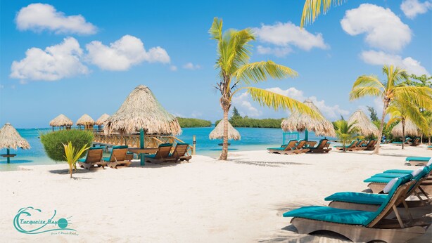 Een strand met rieten parasols, ligstoelen en palmbomen.