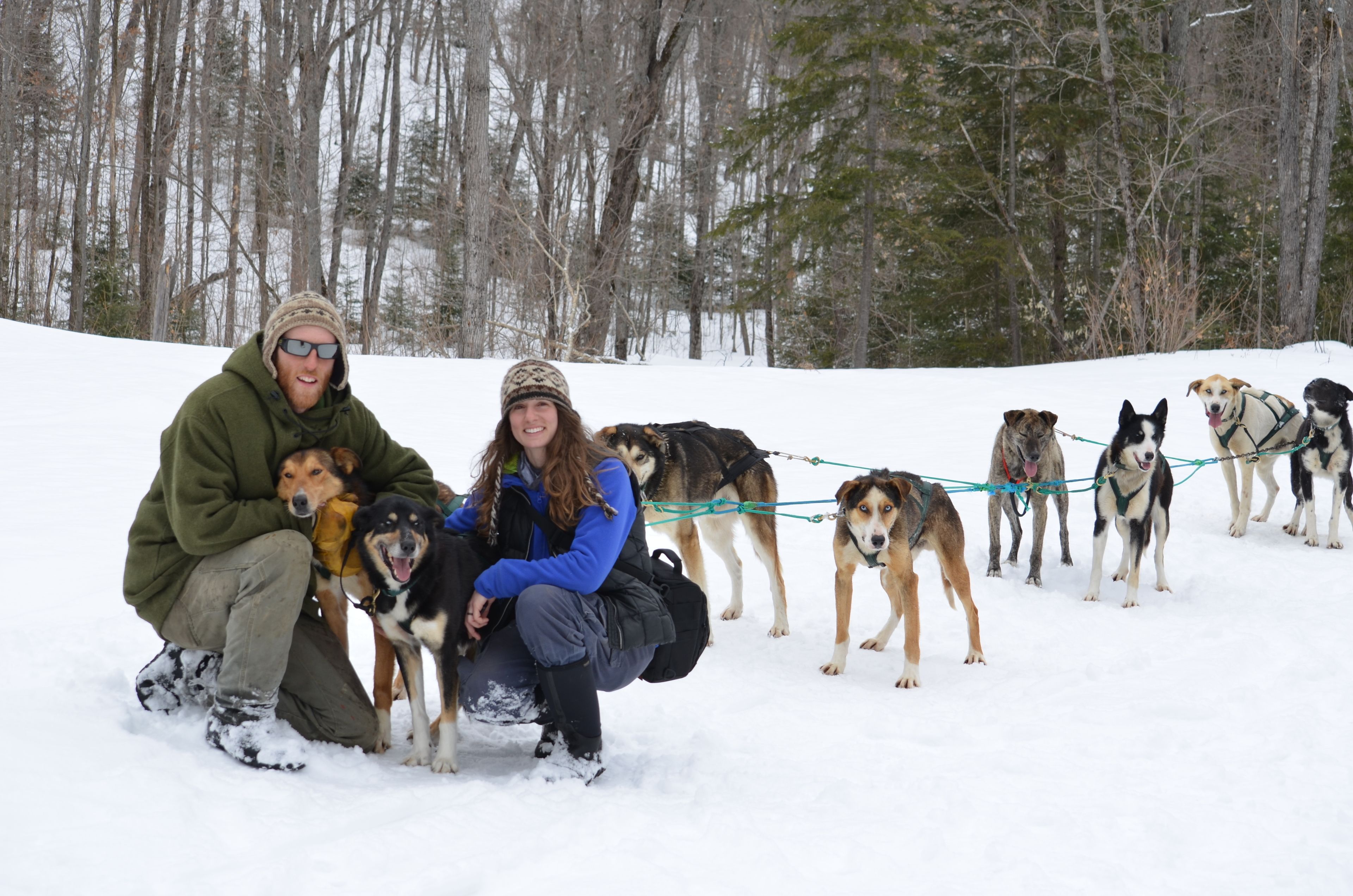 A group of people and dogs in a snowy outdoor setting.