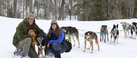 Um grupo de pessoas e cachorros em um ambiente externo com neve.