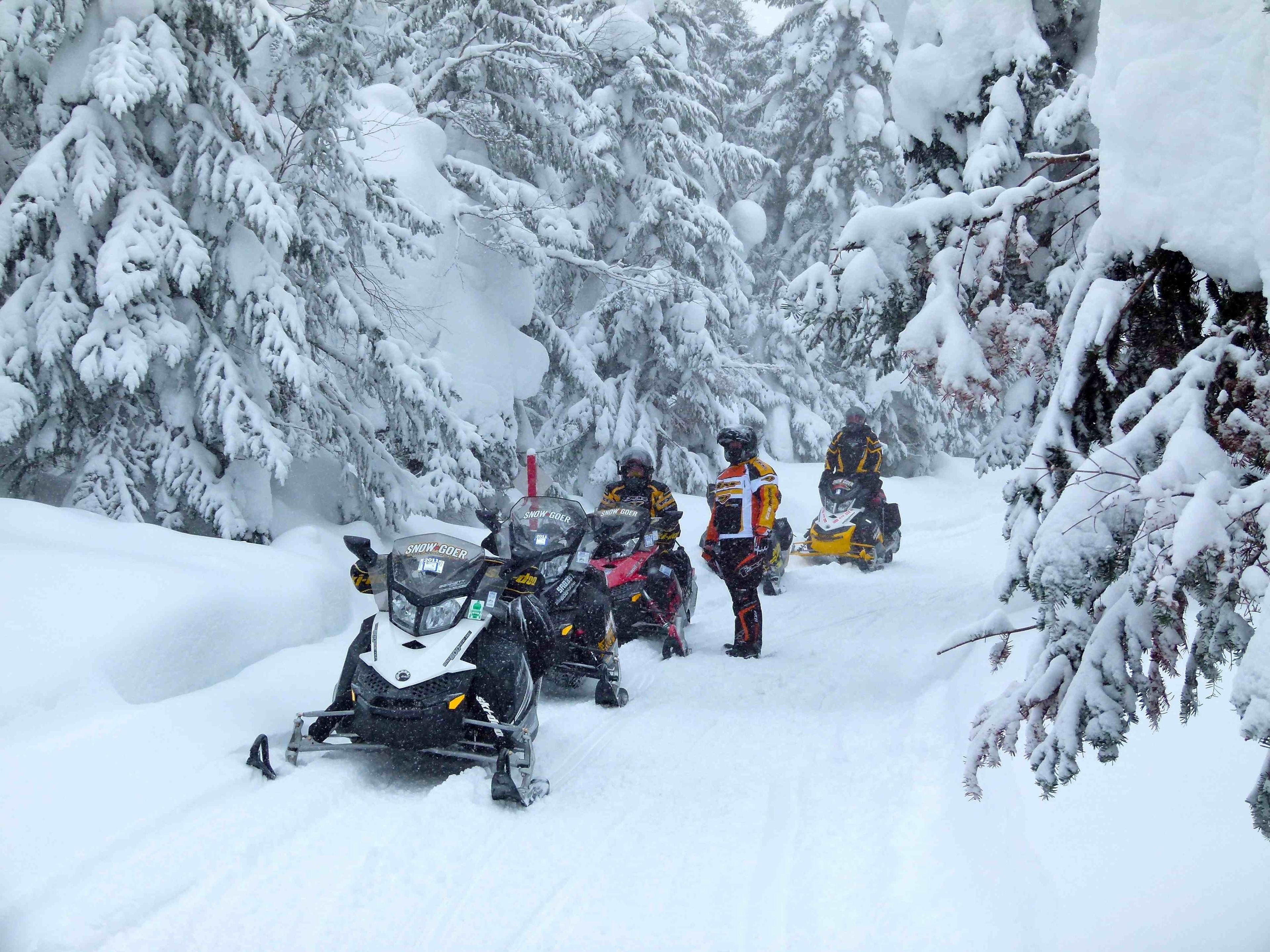 Flere sne scootere parkeret i en snefyldt skov.