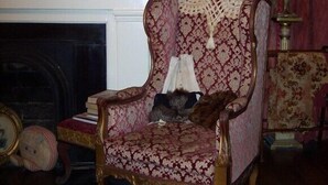 Un fauteuil ancien, recouvert d’un tissu à motifs, est placé devant une cheminée ornée d’une console.