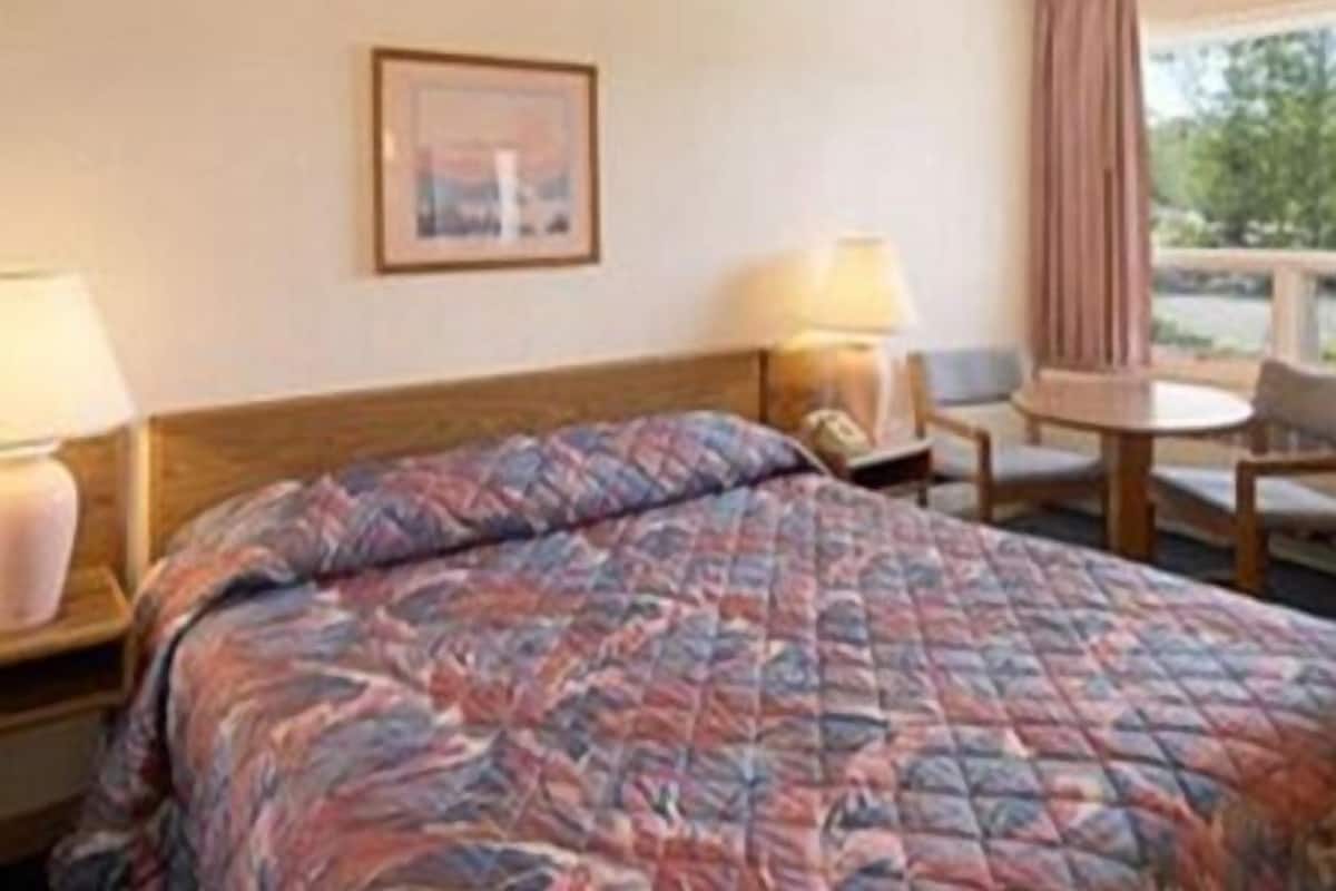 A hotel room with a bed, a chair, a table, a lamp, and a window with a view of greenery.