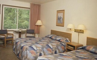 Cortinas blackout, wifi gratis y ropa de cama 