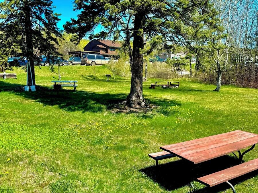 A park with picnic tables and a large tree.