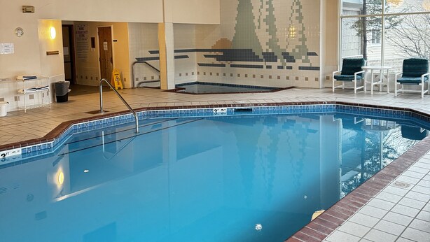 Une piscine intérieure avec un bord carrelé, un plafond en bois et une vue sur les arbres à l’extérieur.