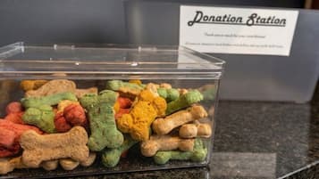 Een inzamelpunt met een bordje, en een bak gevuld met kleurrijke hondjesvormige traktaties.