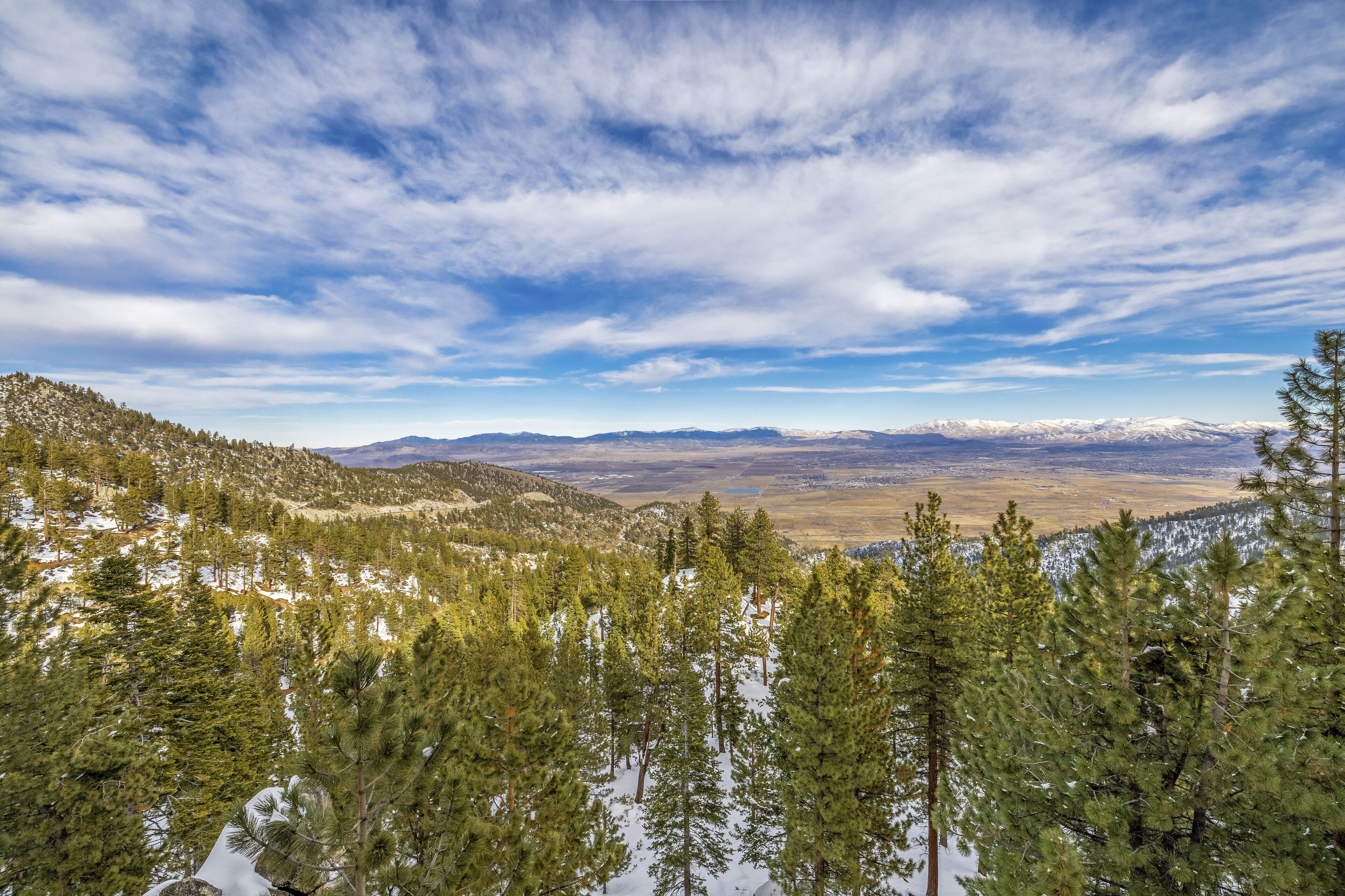 Un paisaje montañoso con bosques densos y cumbres nevadas.