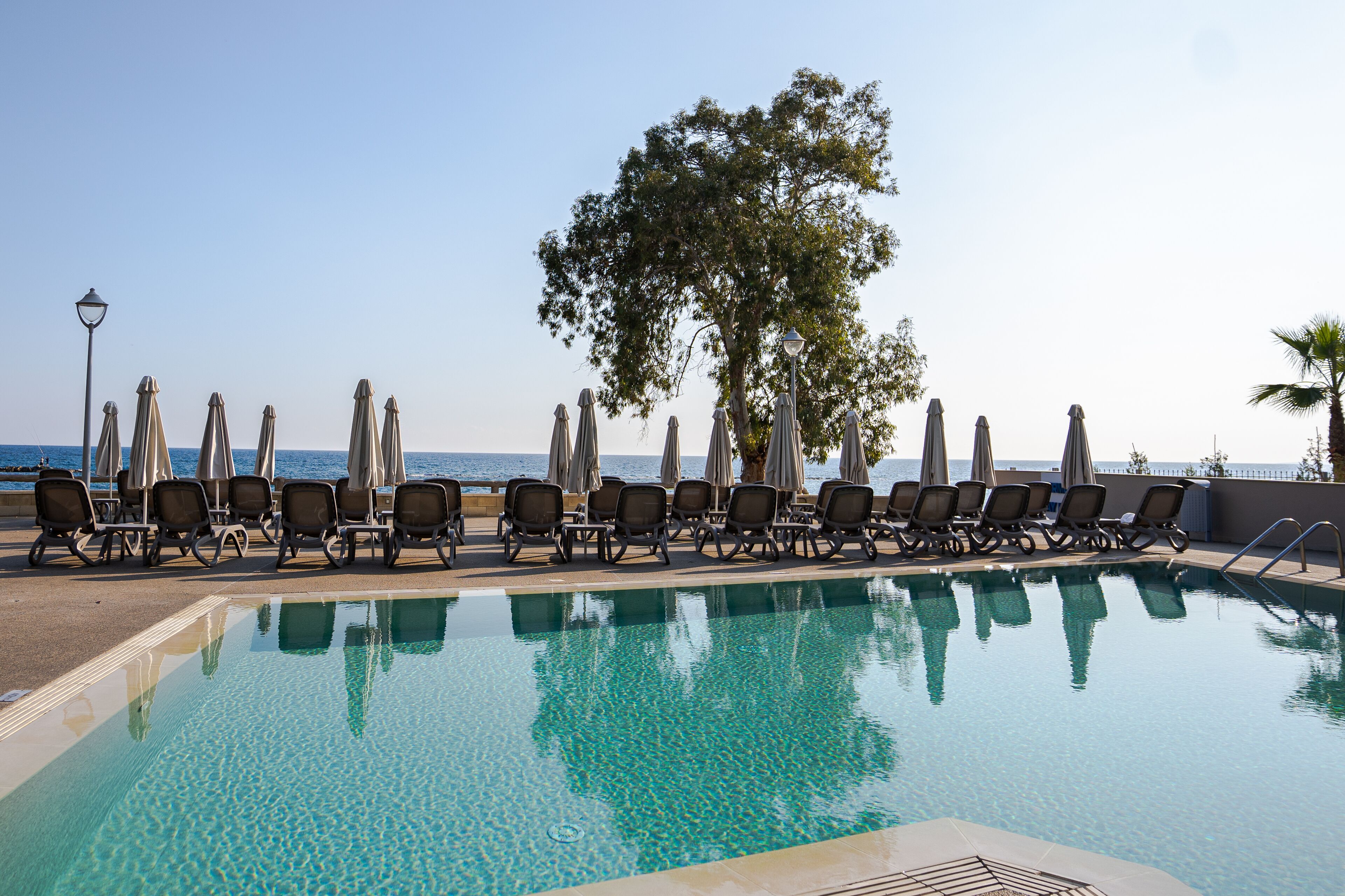 Foto - Harmony Bay Hotel