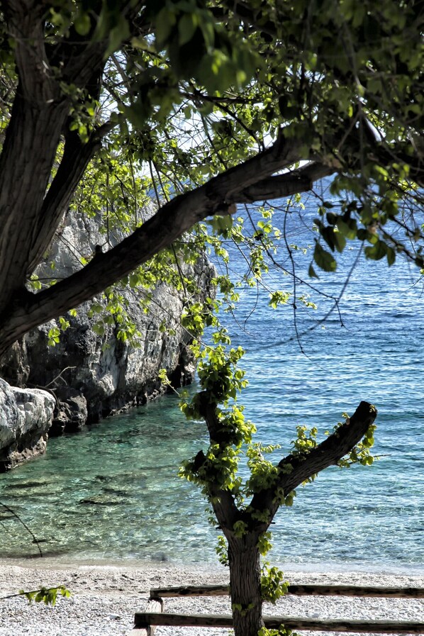 Marina - Palia Damouchari (Zagora-Mouresi)