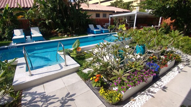 A swimming pool with lounge chairs and a flower bed with various plants and flowers.