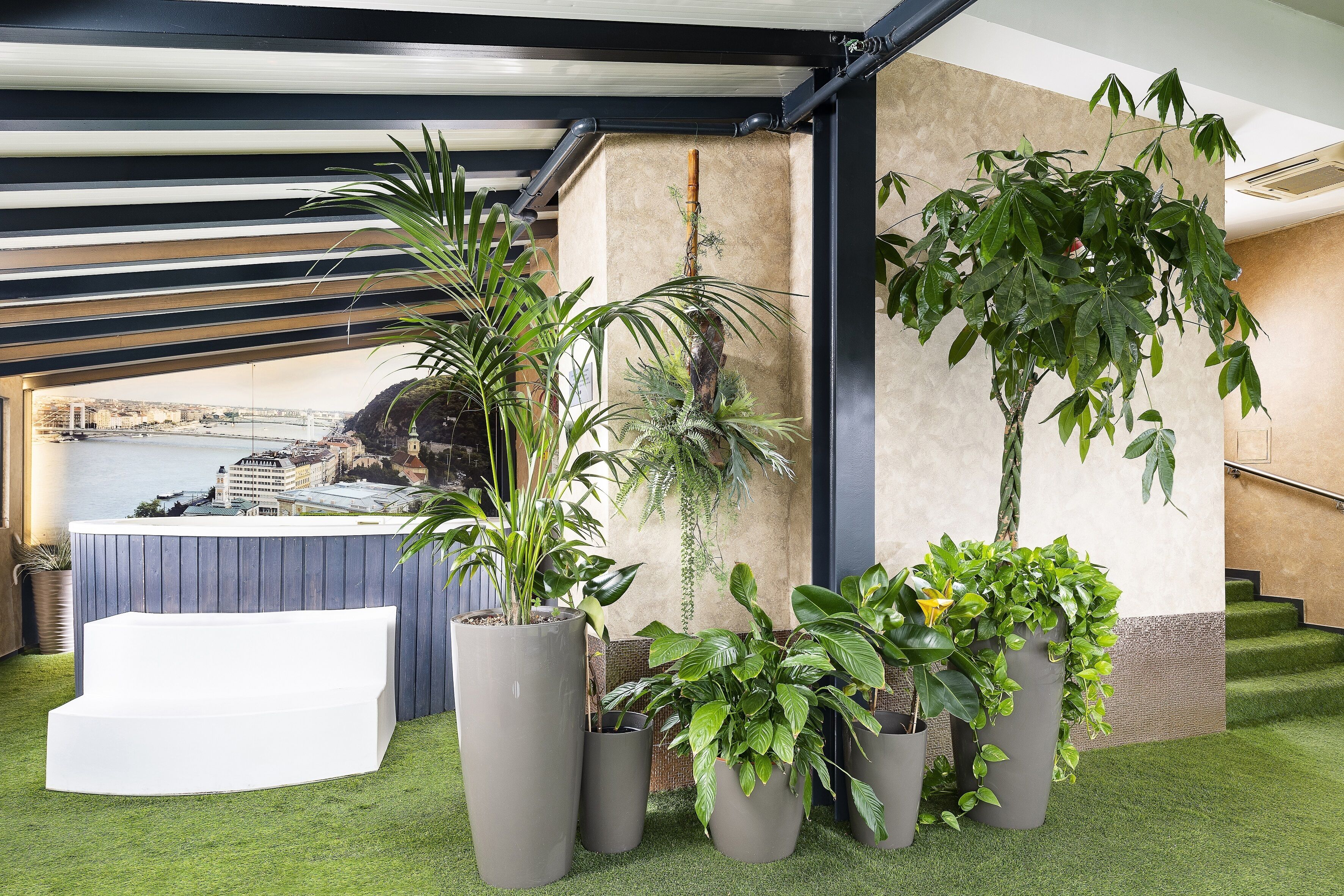 swedish massages, thai massages, sports massages, massages