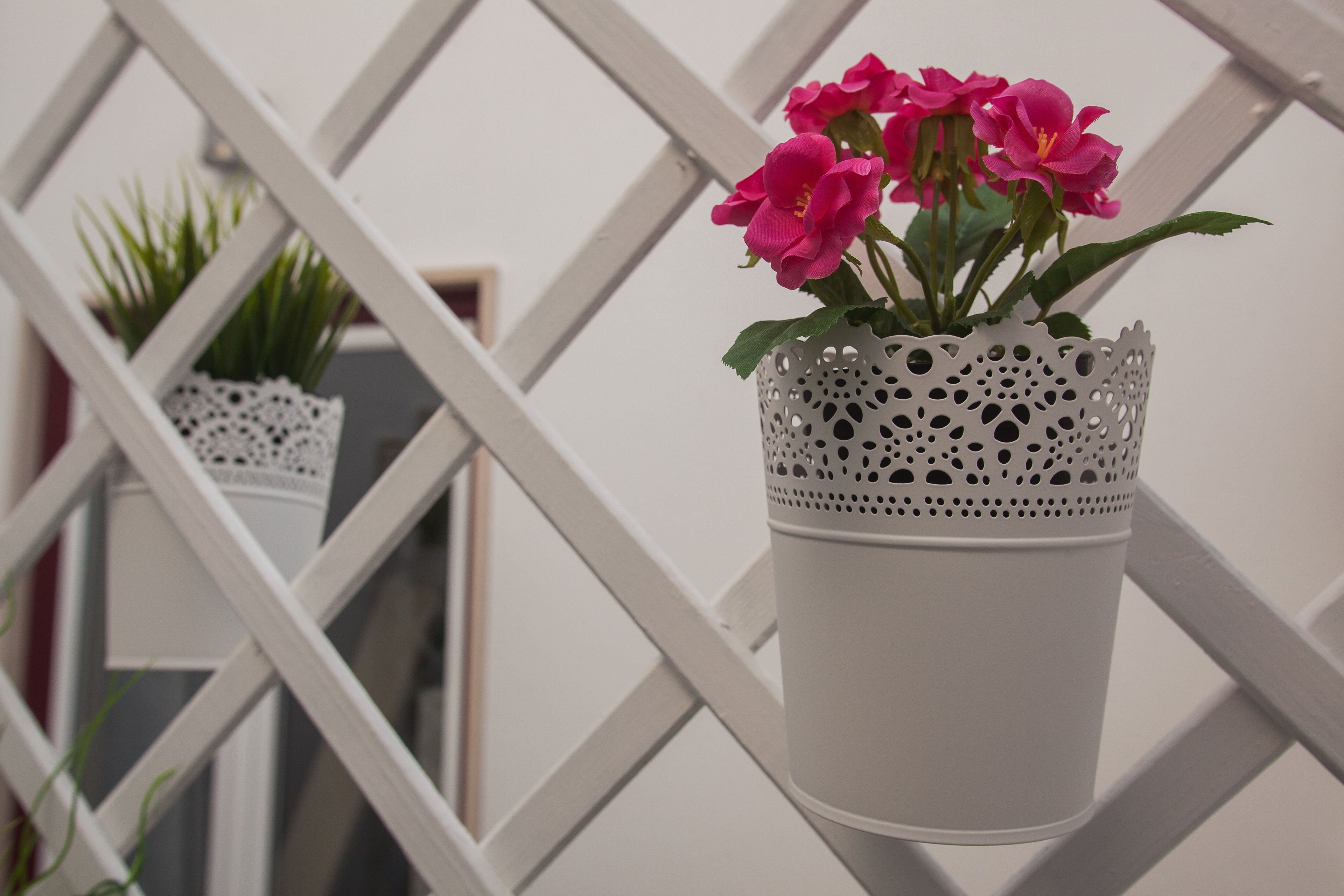 Photo - Thomar Story - Guest House