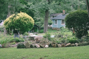 A residential garden with a variety of plants, a stone pathway, and a house in the background.
