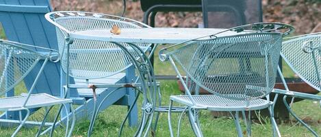Sillas metálicas y una mesa al aire libre sobre césped, con una parrilla de fondo.