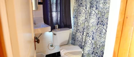 Ein Badezimmer mit Toilette, Waschbecken und Duschvorhang.
