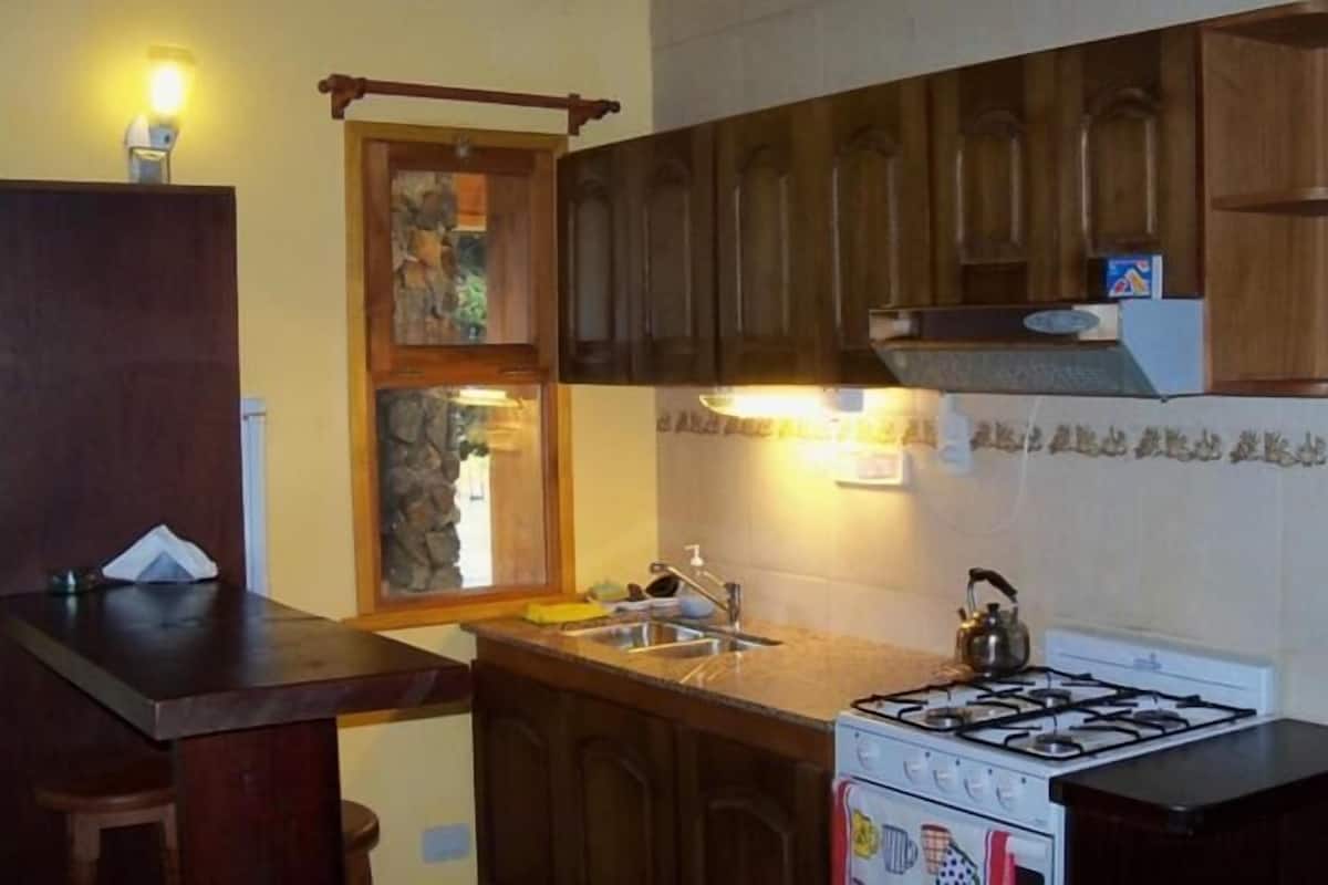 Une cuisine avec des meubles en bois, une cuisinière à gaz, un évier et une fenêtre donnant sur un paysage verdoyant.
