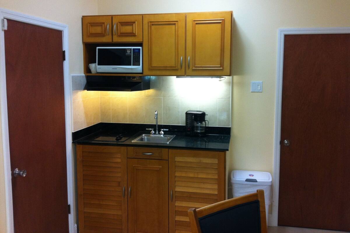 Deluxe Apartment | Private kitchen | Coffee/tea maker, fridge, microwave