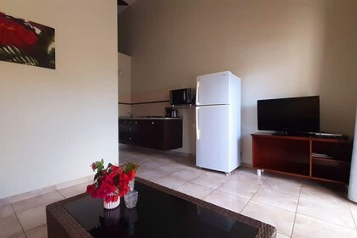 apartment, 1 bedroom | private kitchen | fridge, microwave, electric kettle, cookware/dishes/utensils