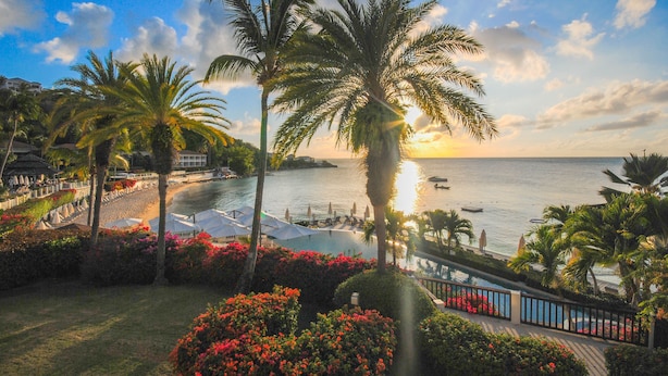A resort with a pool, palm trees, and a view of the sea. - The Cove Suites at Blue Waters Resort and Spa (St. John's)