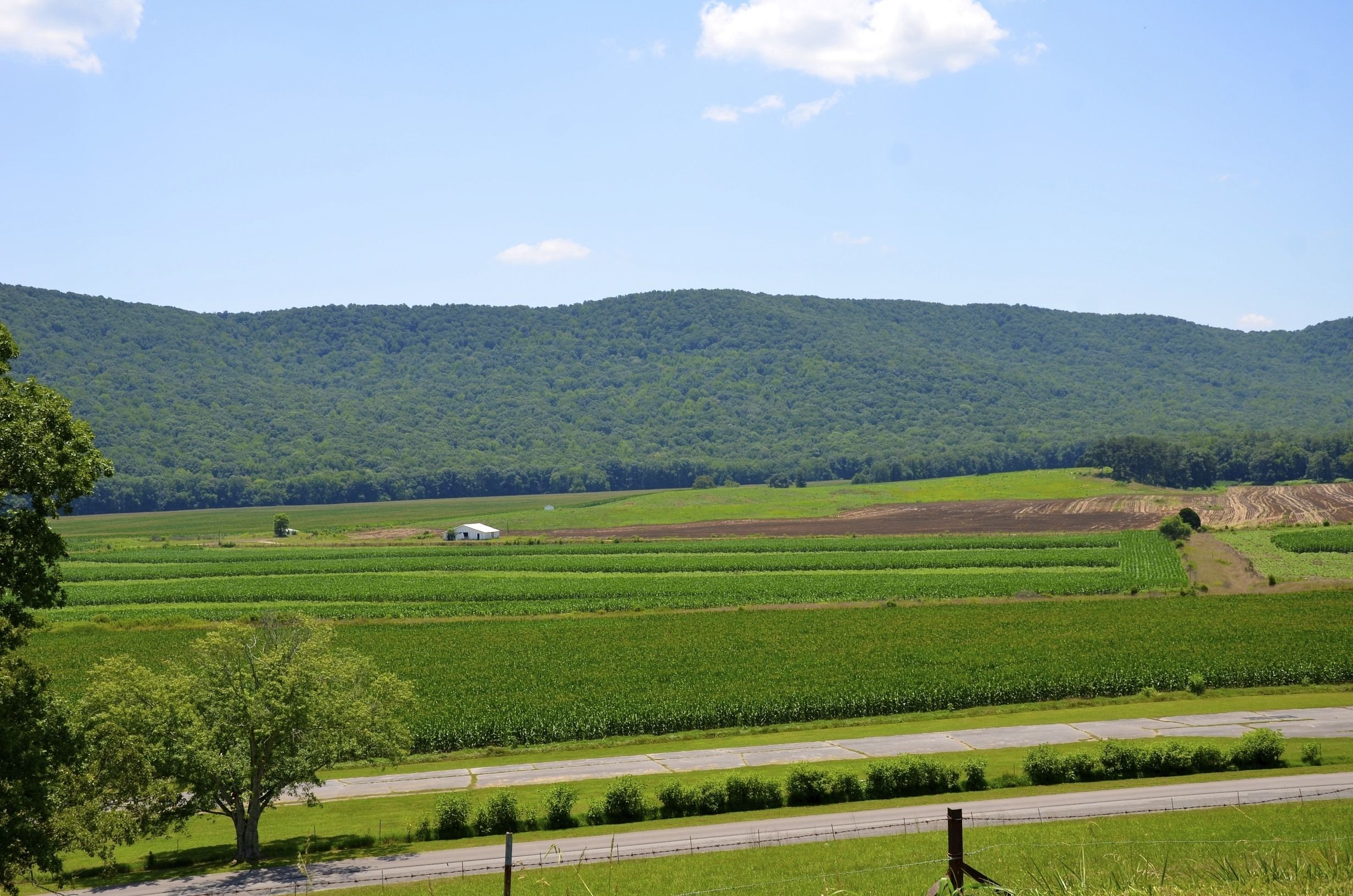A rural landscape with green fields, a road, and a hill in the background.