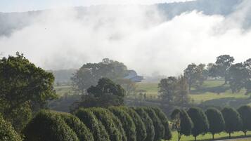 A rural landscape with a road, trees, and a building partially obscured by fog.