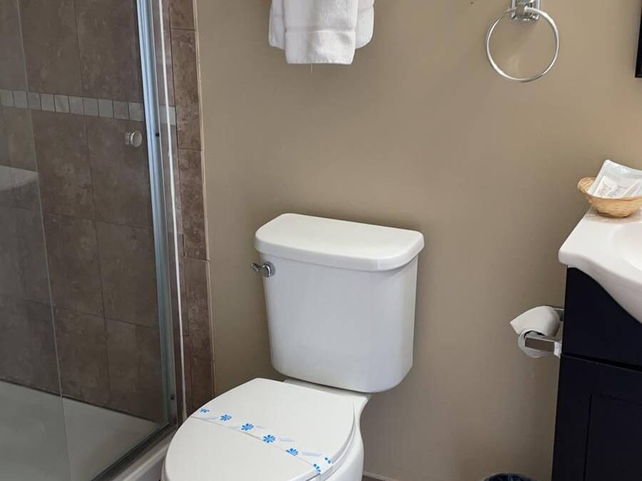 Un bagno con il WC, una cabina doccia in vetro e un portasciugamani con asciugamani piegati.