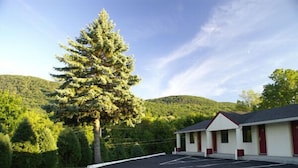 A motel with a parking lot, a large evergreen tree, and a hilly backdrop. - Appalachian Motel (Vernon)