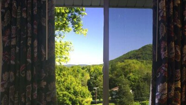 A room with a bed, a window with curtains, and a view of greenery outside. - Appalachian Motel (Vernon)