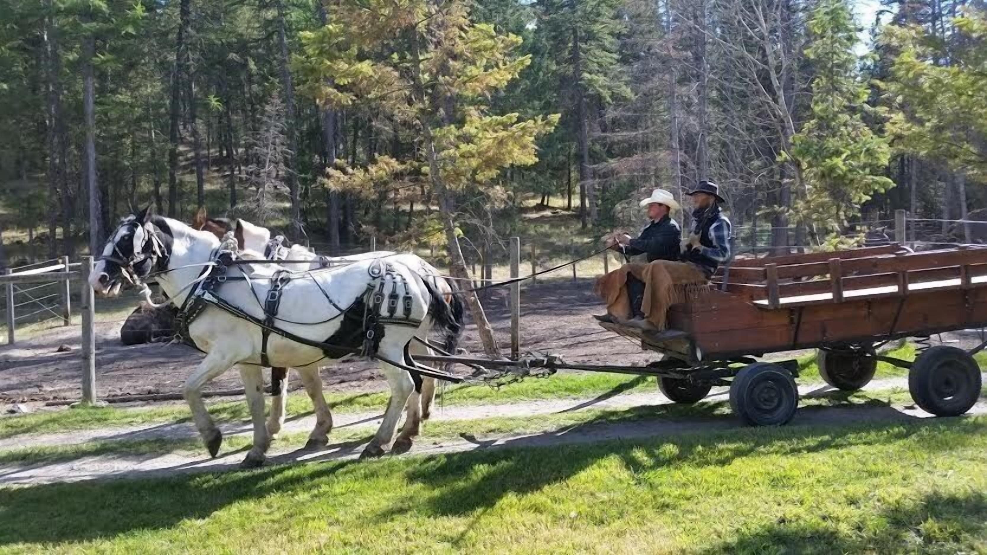 Un carruaje tirado por dos caballos, con dos pasajeros, recorre un sendero de tierra.