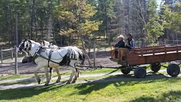 Un carruaje tirado por dos caballos, con dos pasajeros, recorre un sendero de tierra.