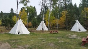 Three white teepees in a grassy area with trees in the background.
