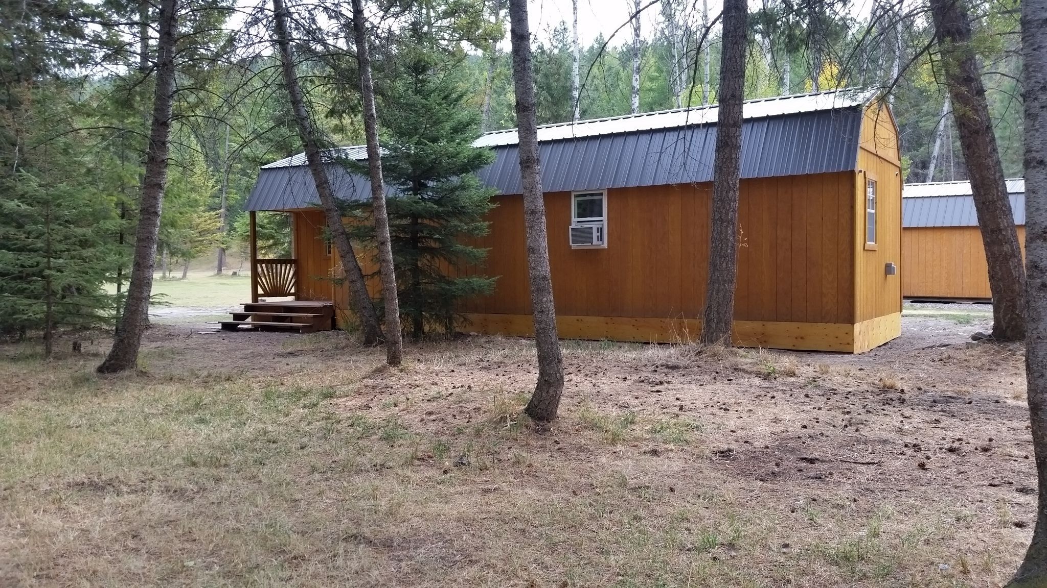 A small wooden cabin with a metal roof, surrounded by trees.