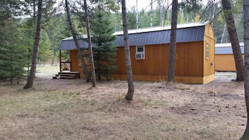 A small wooden cabin with a metal roof, surrounded by trees.