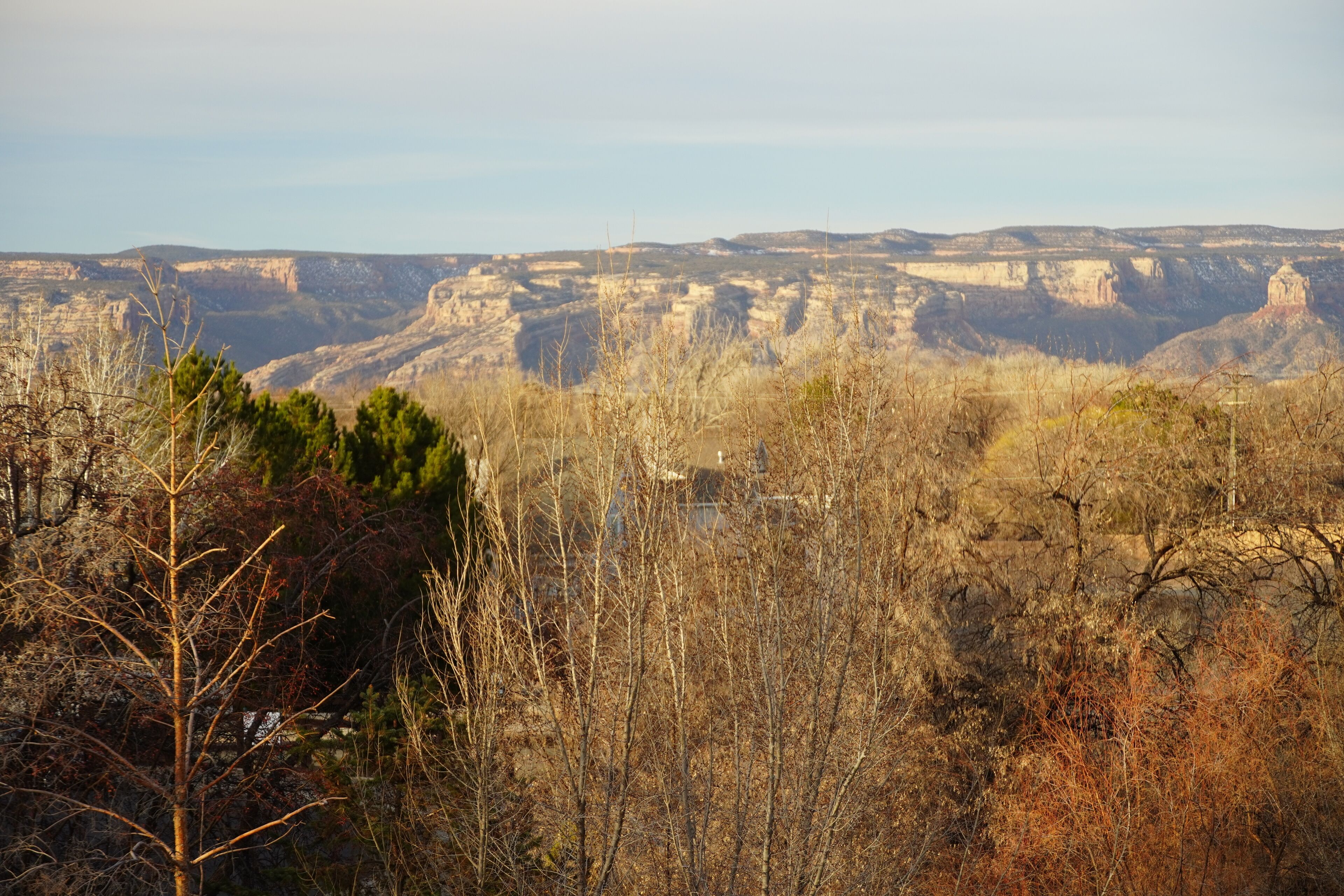 A canyon landscape with sparse vegetation and distant rock formations.