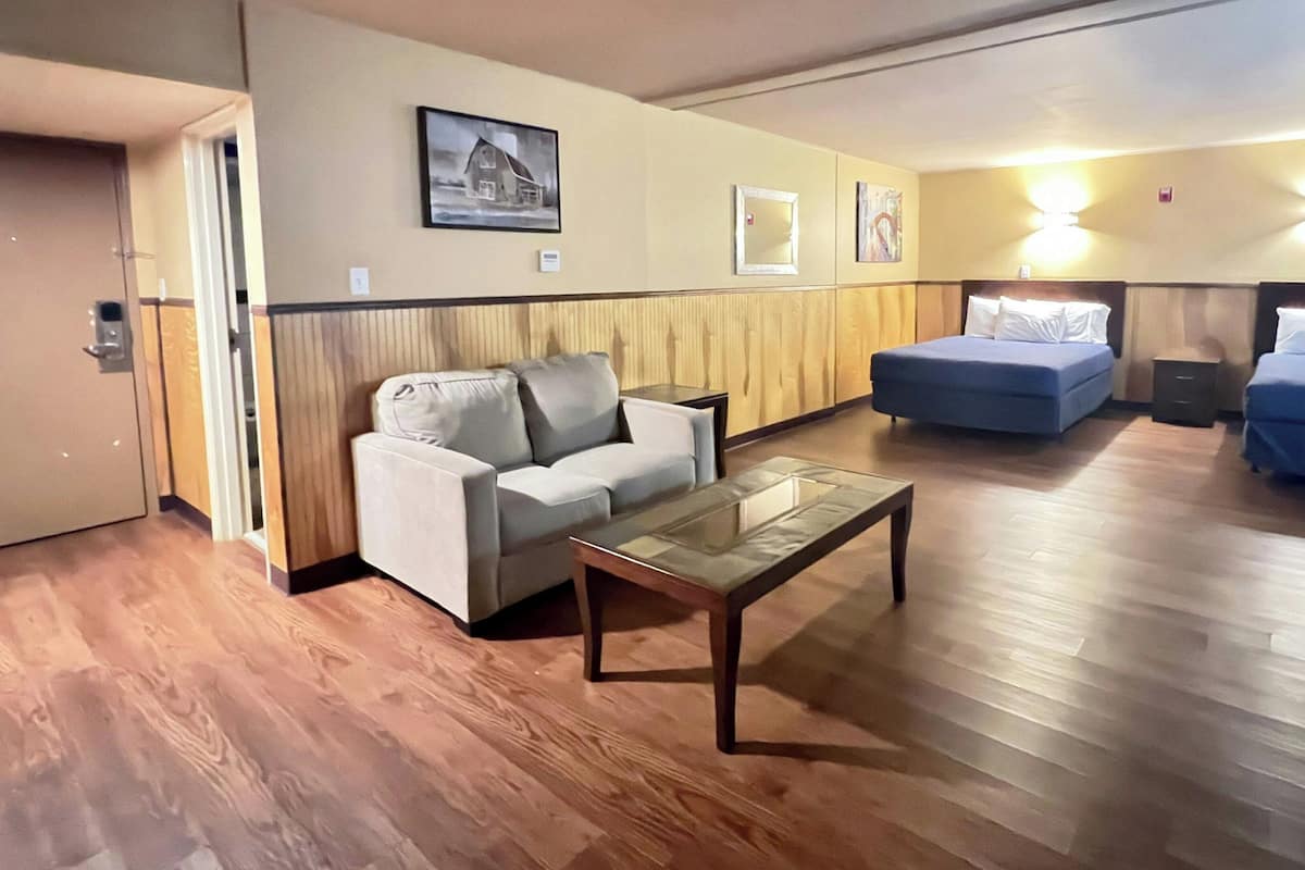 Deluxe Room, 1 Bedroom, Non Smoking | Desk, blackout drapes, iron/ironing board, free WiFi