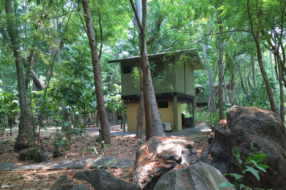 A forested area with a small building, possibly a lodge or cabin, surrounded by trees and rocks.